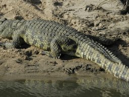 Western_Corridor_(Kirawira)2003-106